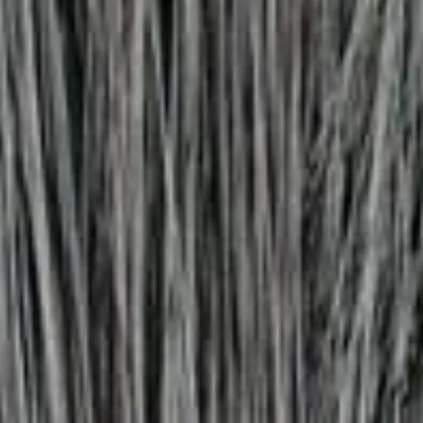 Casey by Estetica | Short Wig for Women | CLOSEOUT - Musesware