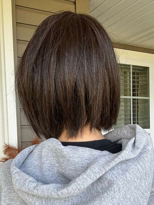 Euro Chic | Synthetic Lace Front Wig (Mono Top) - Musesware