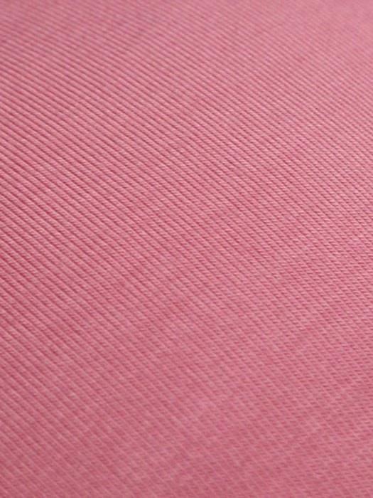 The Blossom Softie - Musesware