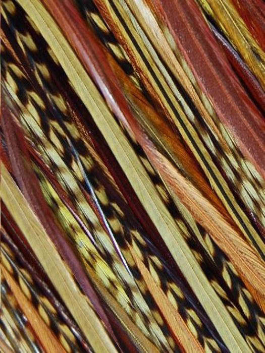 Hair Feathers | Natural Hair - Musesware