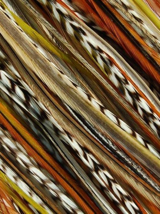 Hair Feathers | Natural Hair - Musesware