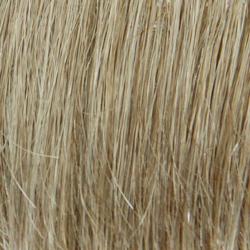 Poppy by Wig Pro | CLOSEOUT - Musesware