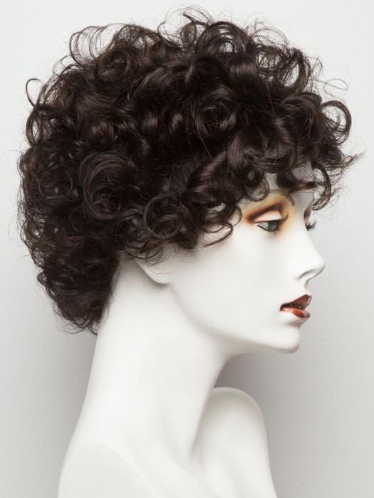 Switch by Ellen Wille | Curly Lace Front Wig | CLOSEOUT - Musesware