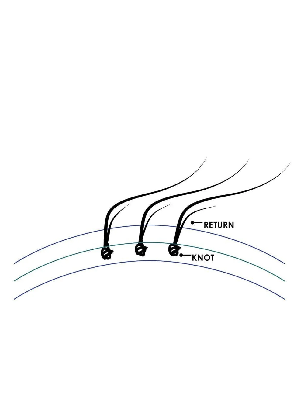 Cara Exclusive by Jon Renau | Remy Human Hair Wig - Musesware