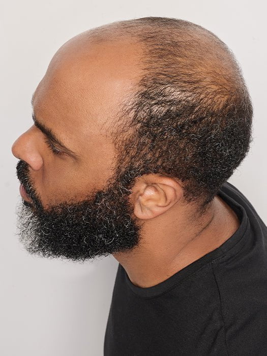 Dignified | Synthetic Lace Front Wig (Mono Top) - Musesware