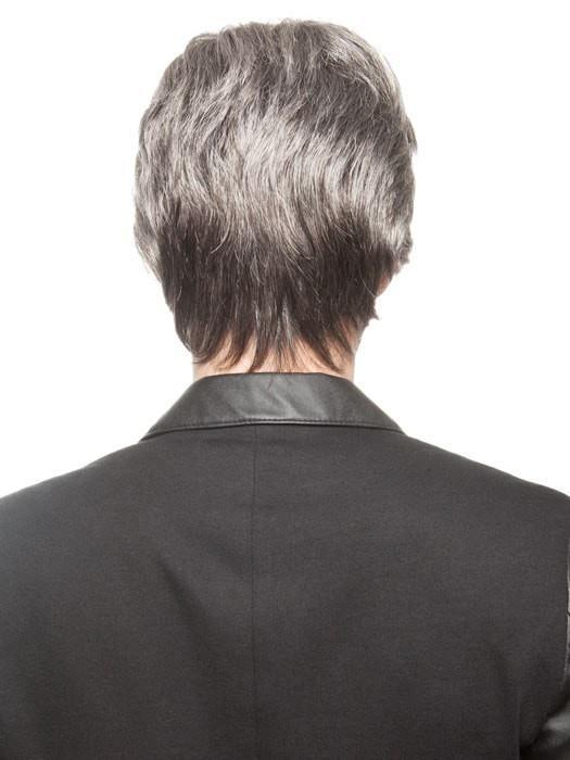 Roger 5 Star by Ellen Wille | Lace Front Wig for Men | CLOSEOUT - Musesware