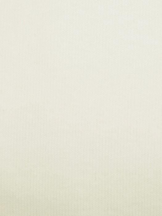 Cotton Wig Liner/Cap - Musesware