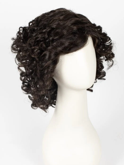Curl Appeal | Synthetic Lace Front Wig (Basic Cap) | CLOSEOUT - Musesware