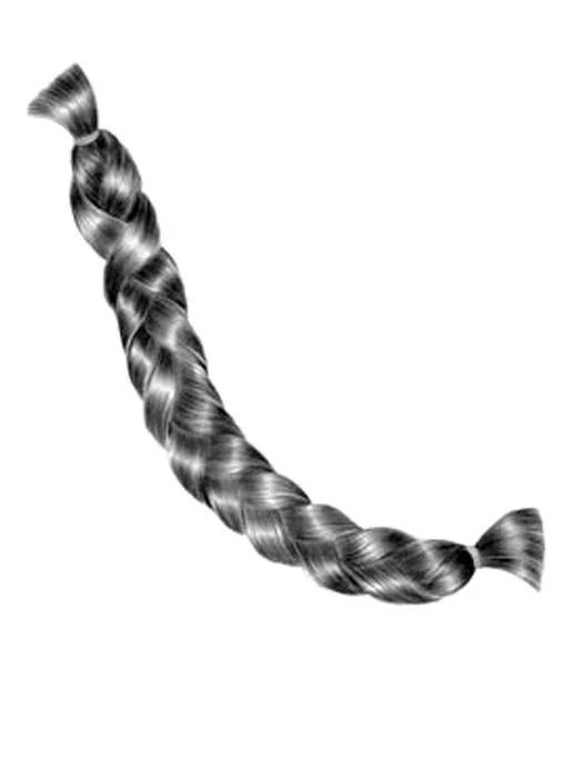 Braided Chignon by Look of Love | CLOSEOUT - Musesware