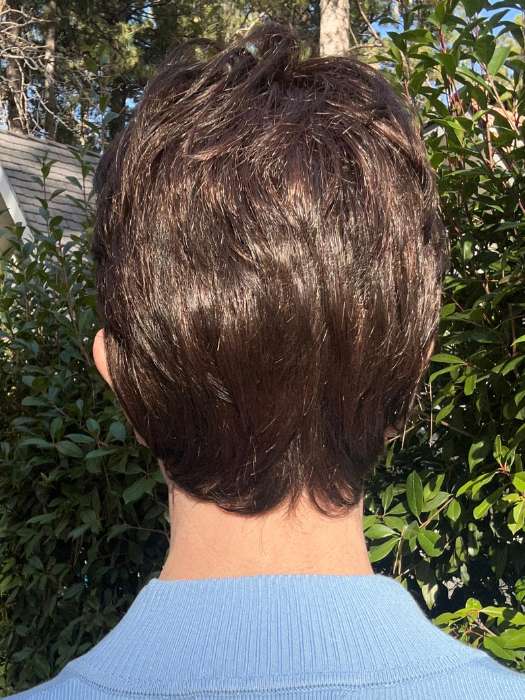 Estate | Synthetic Lace Front Wig (Mono Top) - Musesware