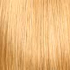 BFM 280 by Look of Love | Butterfly Clip On Ponytail | CLOSEOUT - Musesware