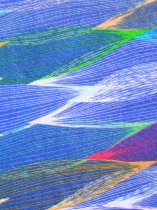 The Softie - Print - Musesware